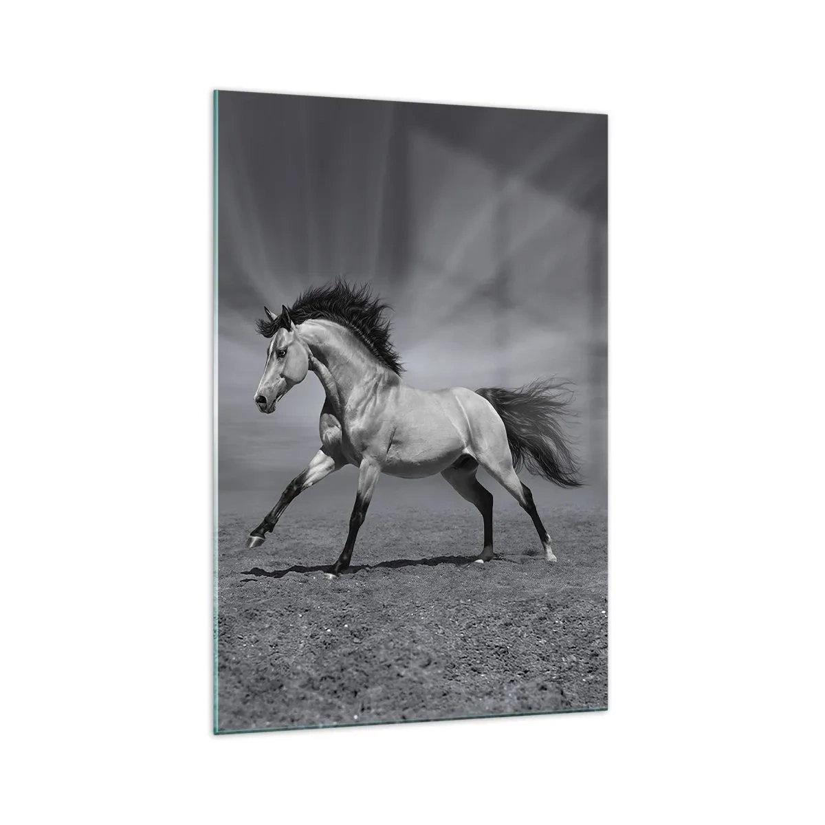 Cuadro sobre vidrio - Impresiones sobre Vidrio - Un caballo blanco y negro en una pose dinámica en el desierto. - 70x100cm - Nacido para deleitar - Decoración de pared moderna para salón y dormitorio ARTTOR