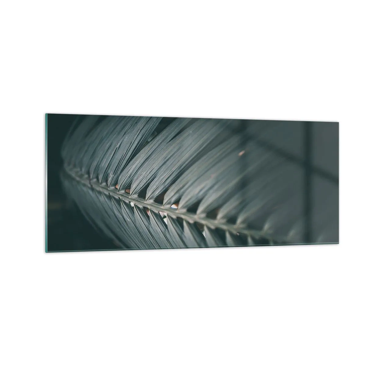 Cuadro sobre vidrio - Impresiones sobre Vidrio - La precisión de la naturaleza - 100x40 cm