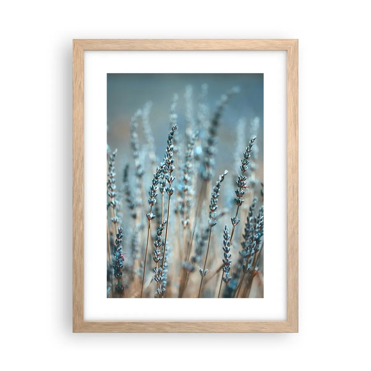 Póster en marco roble claro - Fragante pasto - 30x40 cm
