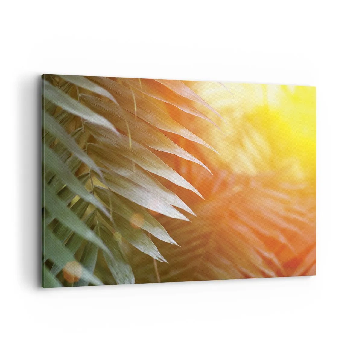 Cuadro sobre lienzo - Impresión de Imagen - Hojas de palma en los rayos del atardecer. - 120x80cm - Mañana en la selva - Decoración de pared moderna para salón y dormitorio ARTTOR
