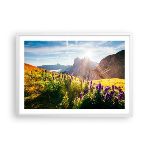 Póster en marco blanco - La vida secreta de las hierbas - 70x50 cm