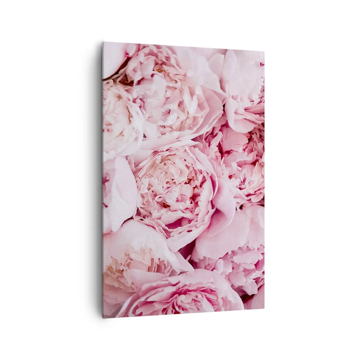 Cuadro sobre lienzo - Impresión de Imagen - Un primer plano de un ramo de peonías rosas. - 80x120cm - Cálido y fragante - Decoración de pared moderna para salón y dormitorio ARTTOR