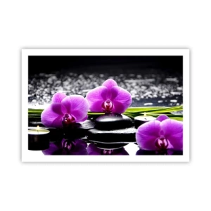 Póster - Ahogarse en la paz y la tranquilidad - 91x61 cm