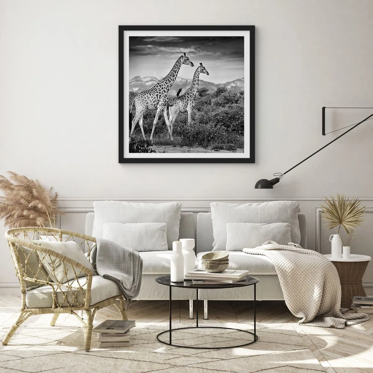 Póster en marco negro - La clase alta de África - 50x50 cm