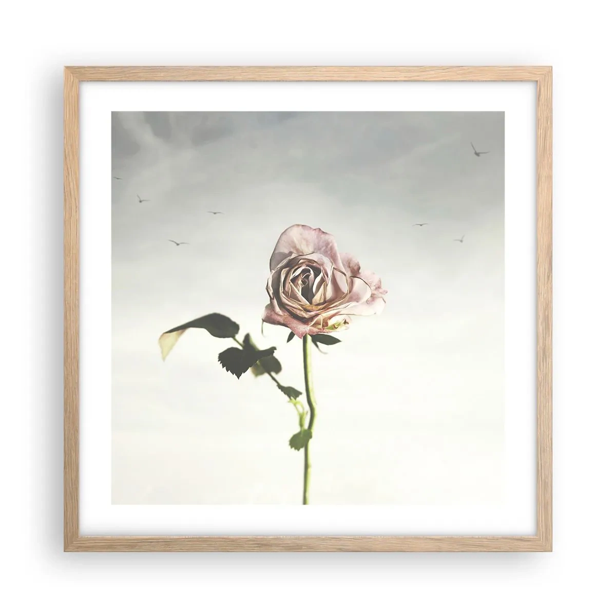 Póster en marco roble claro - Bienvenida a la primavera - 50x50 cm