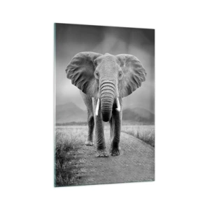 Cuadro sobre vidrio - Impresiones sobre Vidrio - Un poderoso elefante en la sabana en tonos monocromáticos. - 70x100cm - El anfitrión da la bienvenida - Decoración de pared moderna para salón y dormitorio ARTTOR