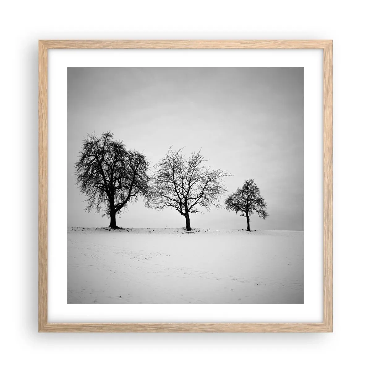 Póster en marco roble claro - ¿Con qué sueñan? - 50x50 cm