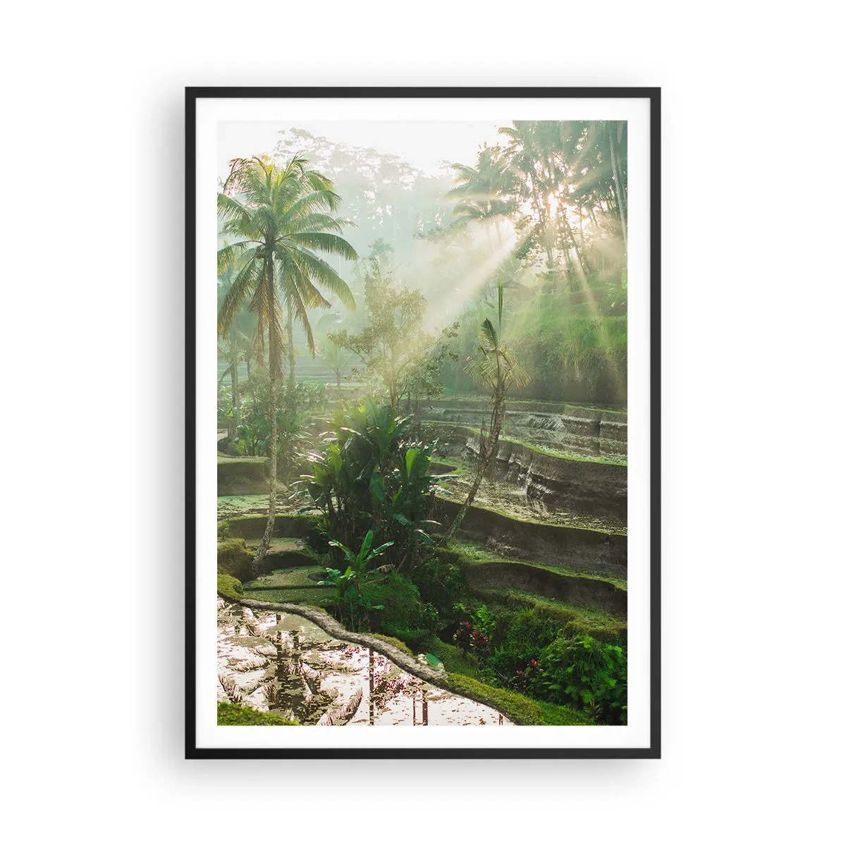 Póster en marco negro - Crecer bajo el sol - 70x100 cm