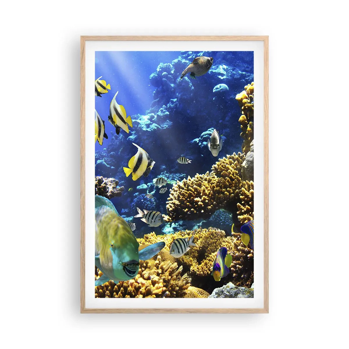 Póster en marco roble claro - Vacaciones submarinas - 61x91 cm