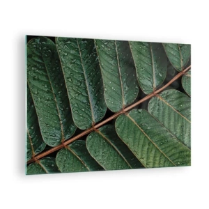 Cuadro sobre vidrio - Impresiones sobre Vidrio - Primer plano de hojas verdes con gotas de agua. - 70x50cm - En un ritmo verde - Decoración de pared moderna para salón y dormitorio ARTTOR