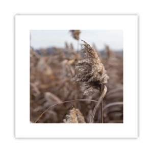 Póster - Es hora de volar con el viento - 30x30 cm