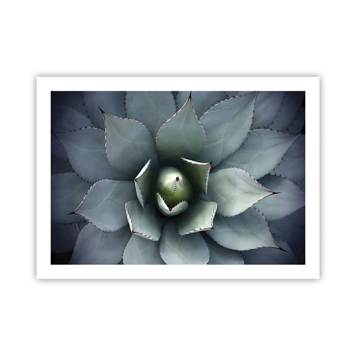 Póster - Perfección natural - 70x50 cm