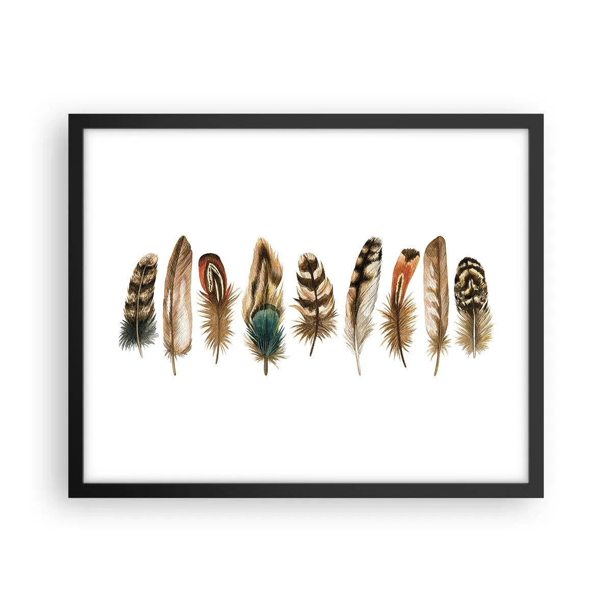 Póster en marco negro - Estudio de plumas - 50x40 cm
