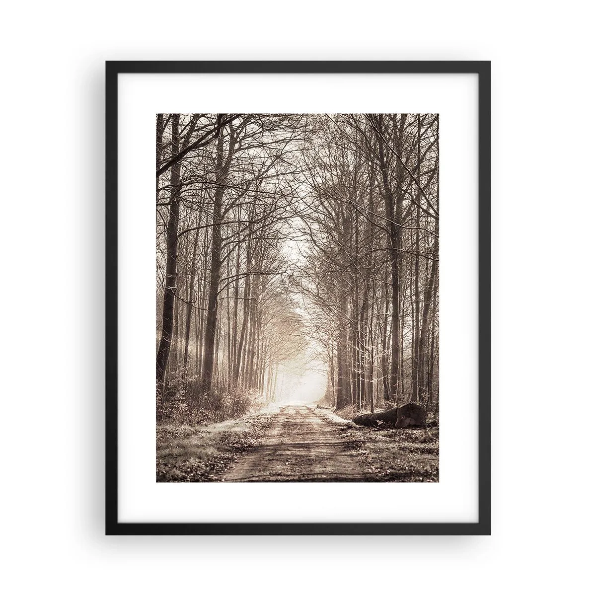 Póster en marco negro - La catedral del bosque - 40x50 cm