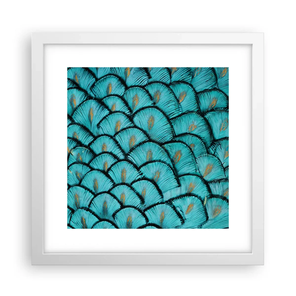 Póster en marco blanco - La gran gala de las plumas - 30x30 cm