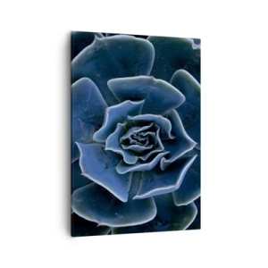 Cuadro sobre lienzo - Impresión de Imagen - Primer plano de una roseta suculenta verde - 50x70cm - Flor del desierto - Decoración de pared moderna para salón y dormitorio ARTTOR