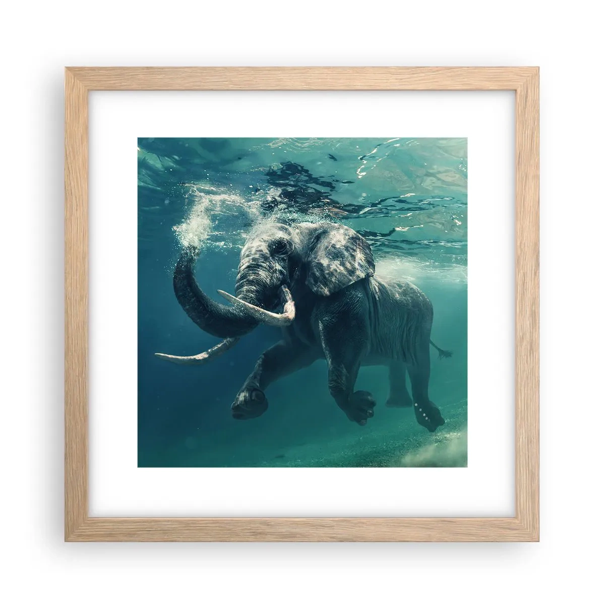 Póster en marco roble claro - A todos nos gusta nadar - 30x30 cm