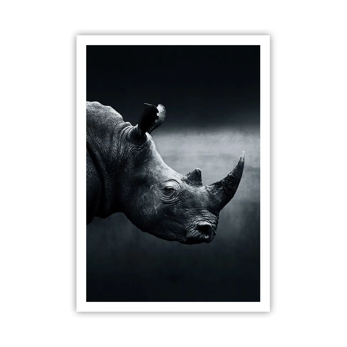Póster - Perfil derecho - 70x100 cm