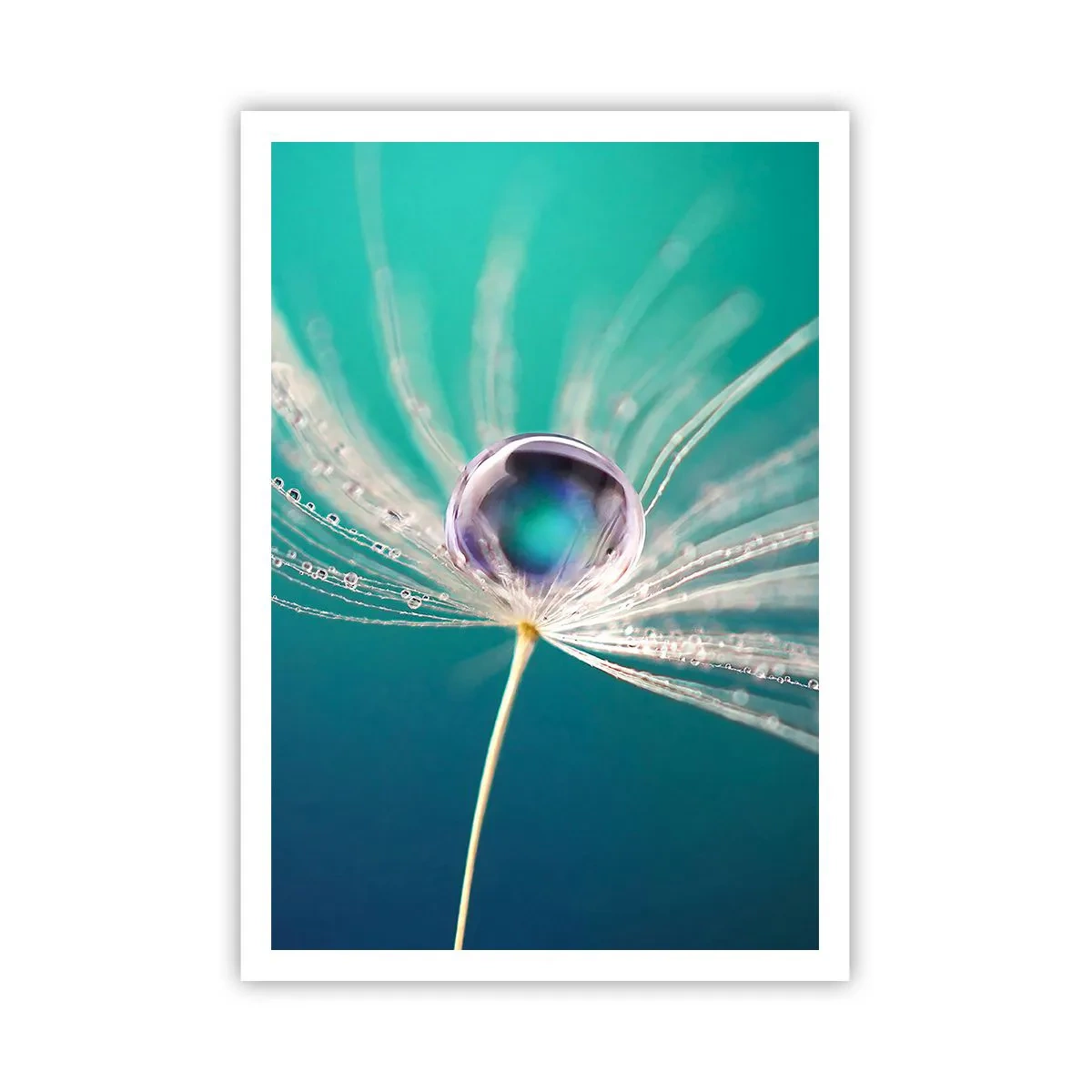 Póster - Momento místico - 70x100 cm