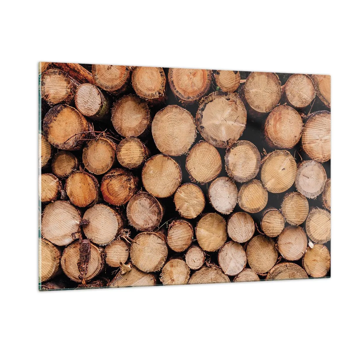 Cuadro sobre vidrio - Impresiones sobre Vidrio - Troncos de árboles dispuestos verticalmente con anillos de crecimiento visibles - 120x80cm - Un nuevo comienzo - Decoración de pared moderna para salón y dormitorio ARTTOR