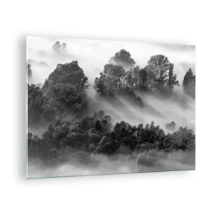 Cuadro sobre vidrio - Impresiones sobre Vidrio - Bosque brumoso a la luz del sol en blanco y negro - 70x50cm - Levantarse del sueño - Decoración de pared moderna para salón y dormitorio ARTTOR