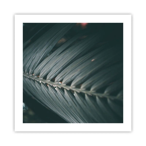 Póster - La precisión de la naturaleza - 50x50 cm