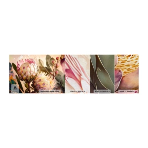 Muestra de fotomural Premium Canvas - Abrazados con ternura - flores, Plantas, Botánica - 100x30 cm