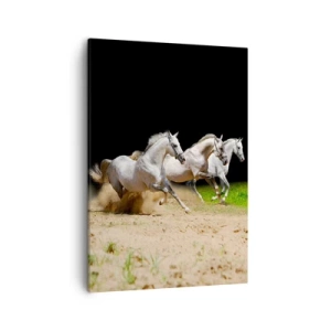 Cuadro sobre lienzo - Impresión de Imagen - Tres caballos blancos galopando sobre arena y hierba. - 50x70cm - Las tres Gracias - Decoración de pared moderna para salón y dormitorio ARTTOR