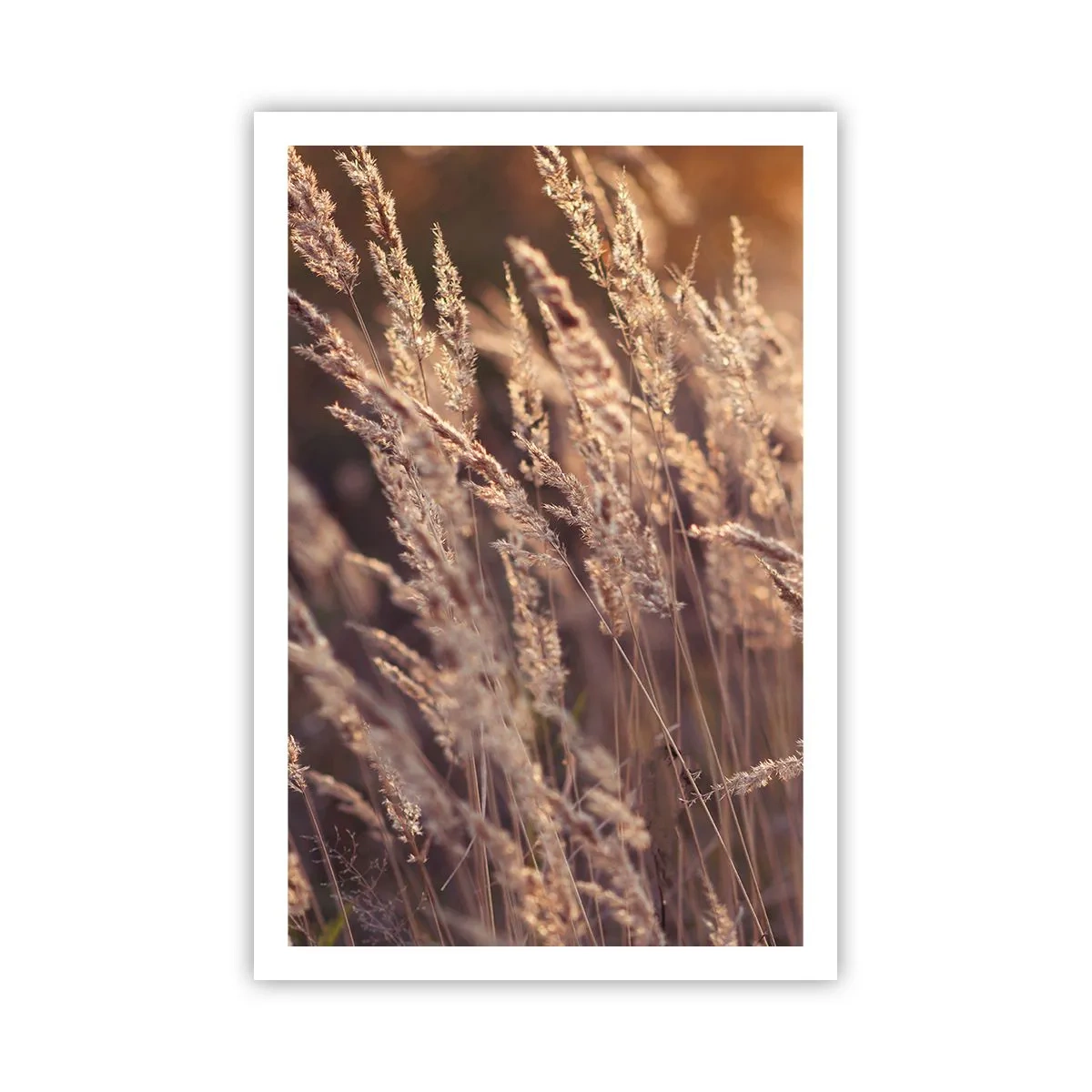 Póster - Listos para dar la bienvenida al otoño - 61x91 cm