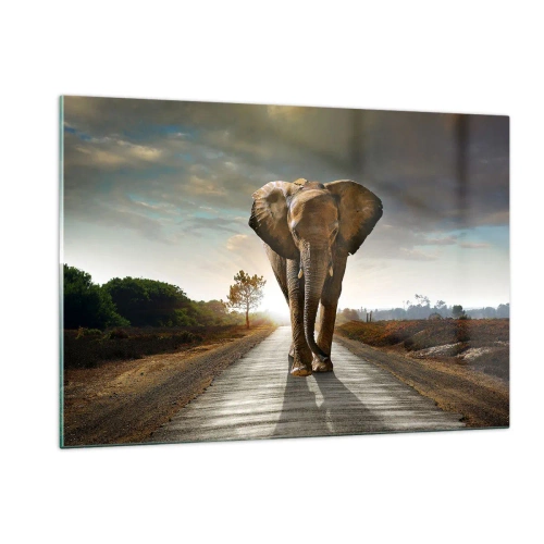Cuadro sobre vidrio - Impresiones sobre Vidrio - Un elefante caminando por la carretera al atardecer. - 120x80cm - Y para nada en un almacén de porcelana - Decoración de pared moderna para salón y dormitorio ARTTOR