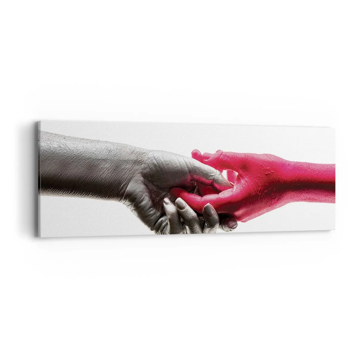 Cuadro sobre lienzo - Impresión de Imagen - Juntos, aunque diferentes - 90x30 cm