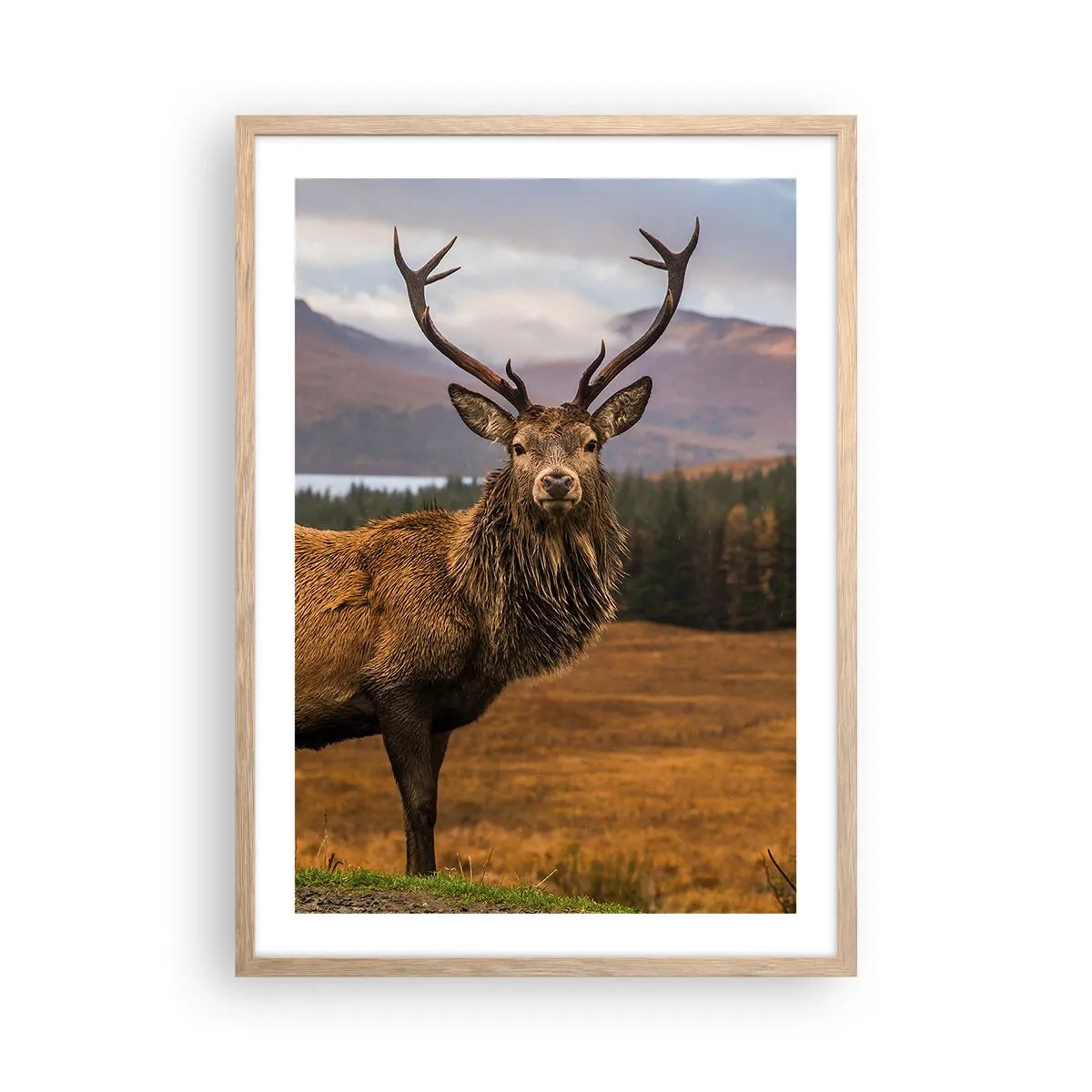 Póster en marco roble claro - La majestuosidad de la naturaleza - 50x70 cm