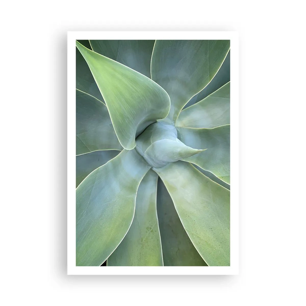 Póster - El nacimiento del verde - 70x100 cm