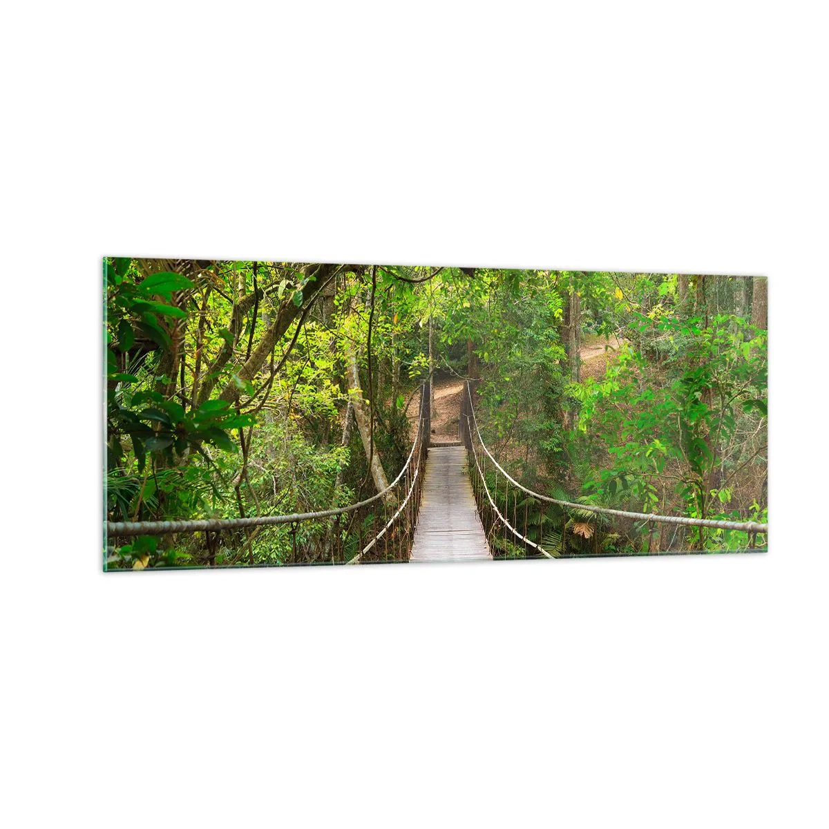 Cuadro sobre vidrio - Impresiones sobre Vidrio - Porque la vid crece en el jardín - 100x40 cm