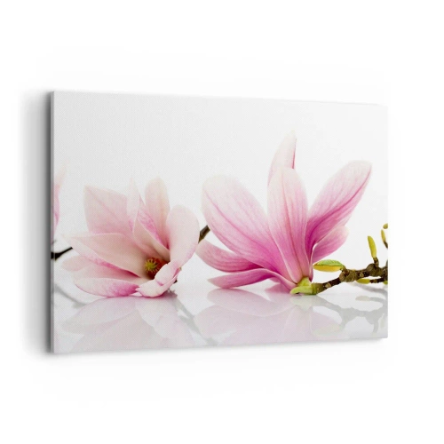 Cuadro sobre lienzo - Impresión de Imagen - Delicadas magnolias rosas sobre un fondo blanco. - 120x80cm - Suave como un soplo de primavera - Decoración de pared moderna para salón y dormitorio ARTTOR