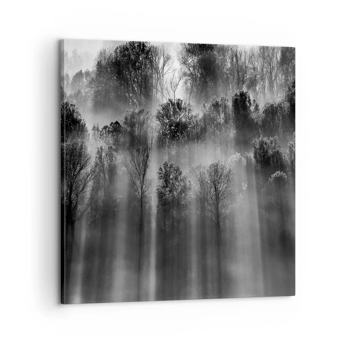 Cuadro sobre lienzo - Impresión de Imagen - En los flujos de luz - 60x60 cm