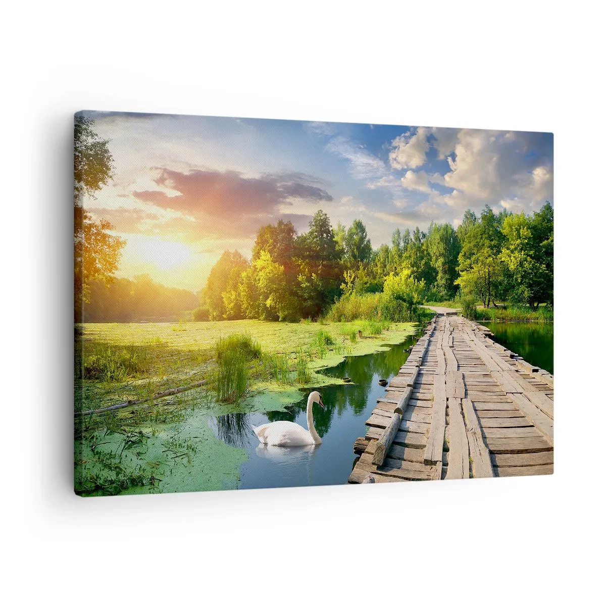 Cuadro sobre lienzo - Impresión de Imagen - Un paisaje pintoresco con un puente y un cisne. - 70x50cm - Verano, verano en todas partes - Decoración de pared moderna para salón y dormitorio ARTTOR