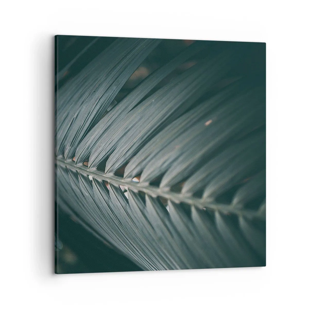 Cuadro sobre lienzo - Impresión de Imagen - La precisión de la naturaleza - 50x50 cm