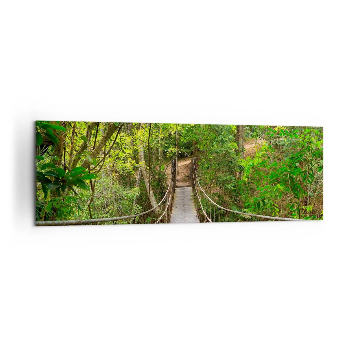 Cuadro sobre lienzo - Impresión de Imagen - Un puente colgante rodeado de una selva tropical verde. - 160x50cm - Porque la vid crece en el jardín - Decoración de pared moderna para salón y dormitorio ARTTOR