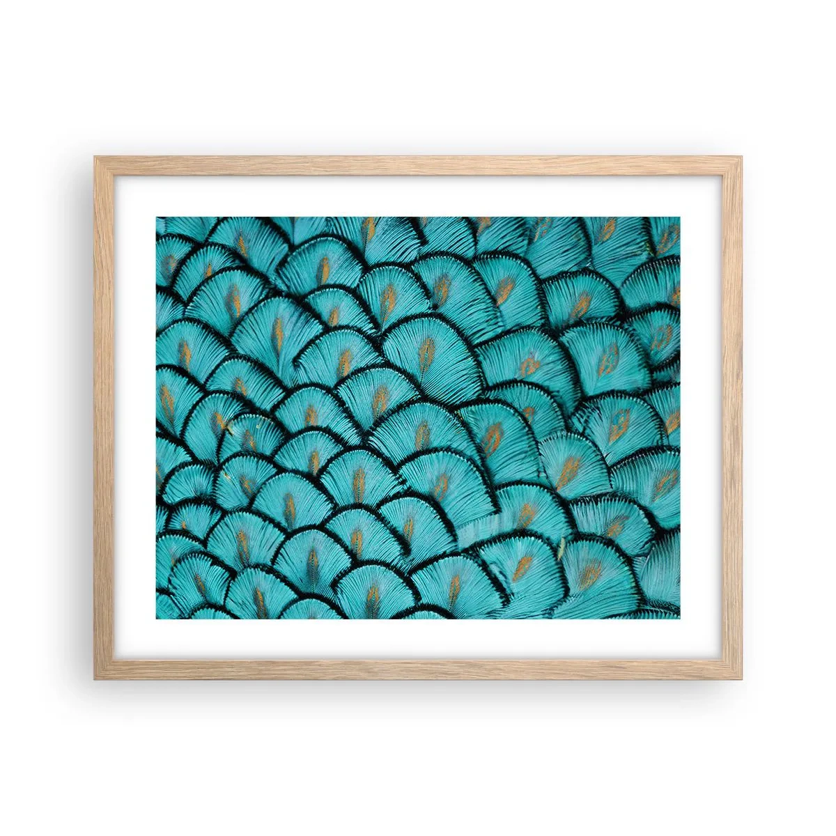 Póster en marco roble claro - La gran gala de las plumas - 50x40 cm