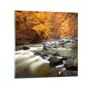 Cuadro sobre vidrio - Impresiones sobre Vidrio - Un arroyo en un bosque dorado - 60x60 cm