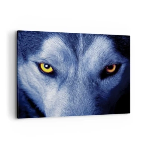 Cuadro sobre lienzo - Impresión de Imagen - Primer plano de la intensa mirada de un lobo sobre un fondo oscuro. - 100x70cm - La mirada hipnótica - Decoración de pared moderna para salón y dormitorio ARTTOR