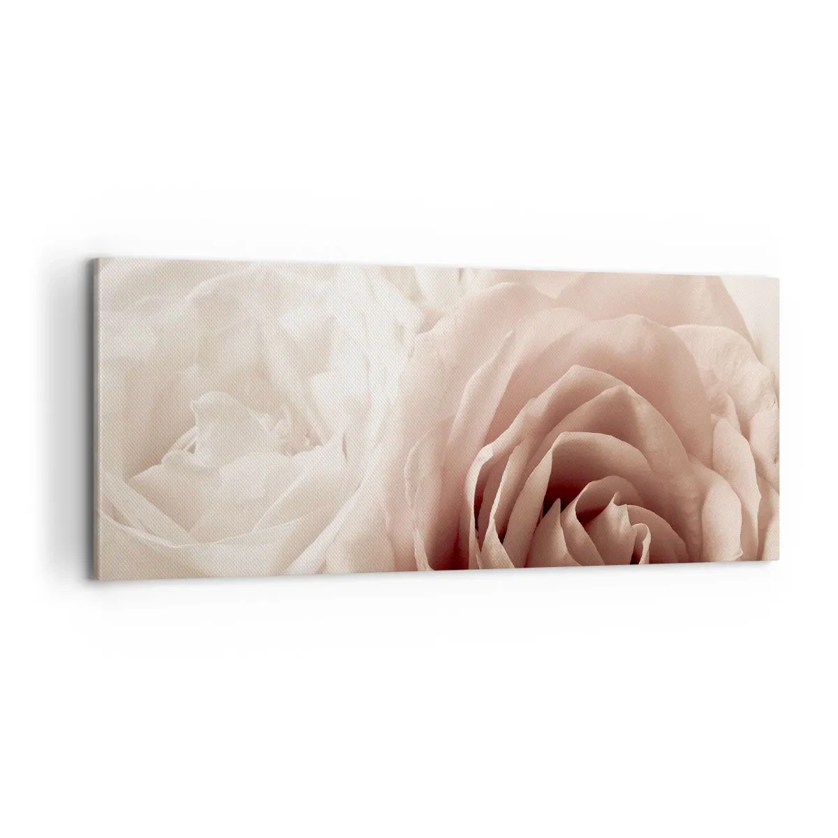 Cuadro sobre lienzo - Impresión de Imagen - En el corazón de una rosa - 100x40 cm