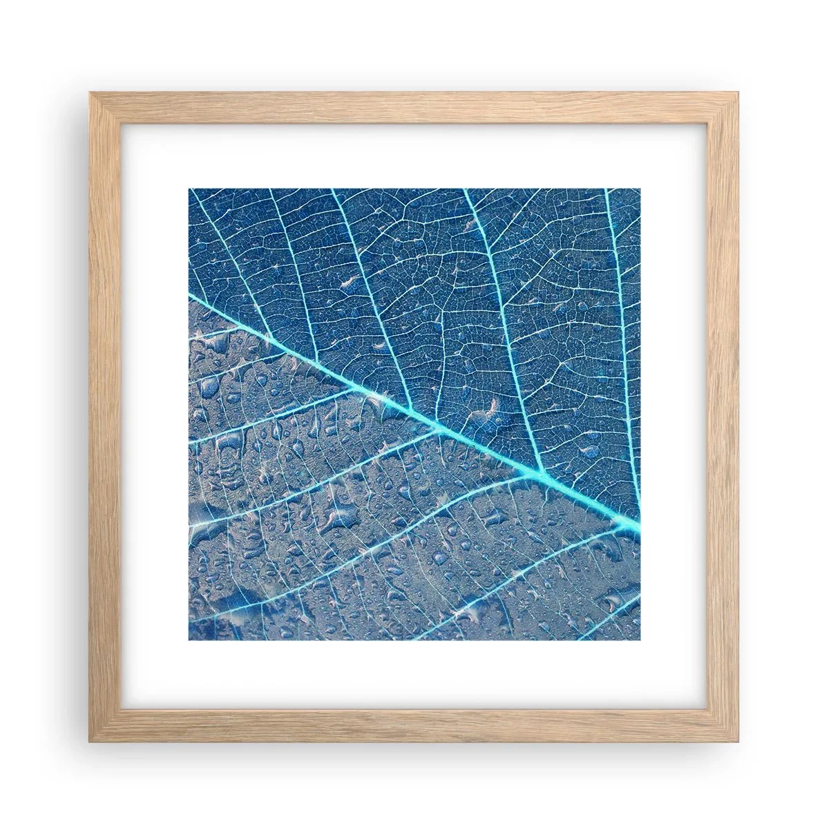 Póster en marco roble claro - Vida en el azul - 30x30 cm