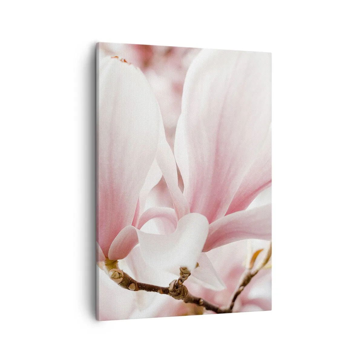 Cuadro sobre lienzo - Impresión de Imagen - Delicadas flores de magnolia en tonos pastel. - 50x70cm - Inmensidad de la ternura - Decoración de pared moderna para salón y dormitorio ARTTOR
