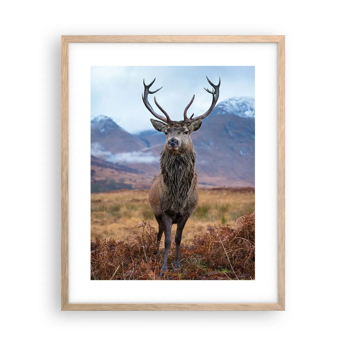 Póster en marco roble claro - En mi propia tierra - 40x50 cm