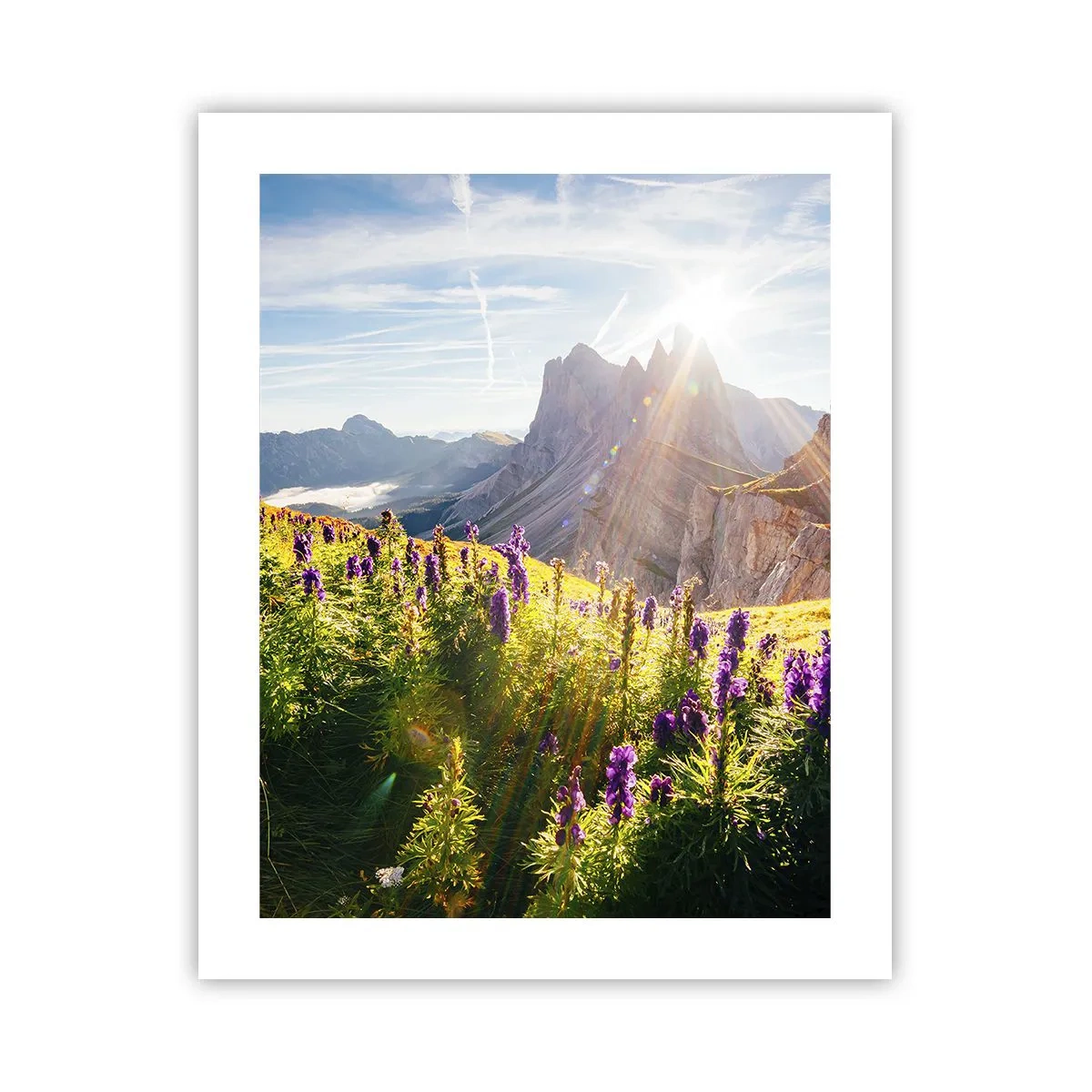 Póster - La vida secreta de las hierbas - 40x50 cm