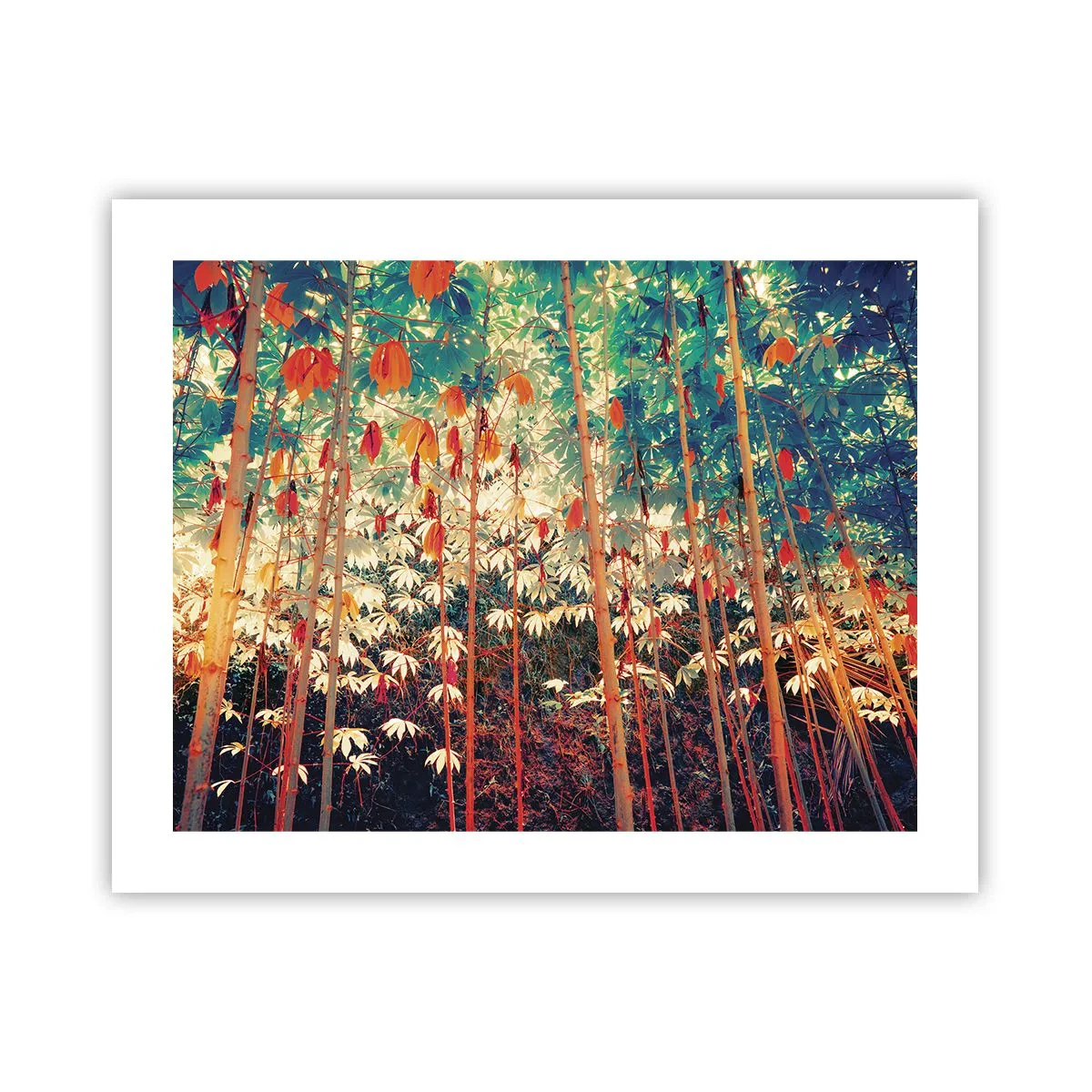 Póster - La vida secreta de las hojas - 50x40 cm