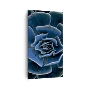 Cuadro sobre lienzo - Impresión de Imagen - Flor del desierto - 45x80 cm