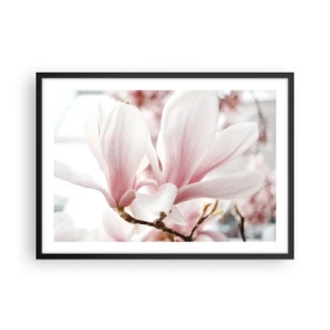 Póster en marco negro - Delicadas flores de magnolia en tonos pastel. - 70x50cm - Inmensidad de la ternura - Decoración de pared moderna para salón y dormitorio ARTTOR